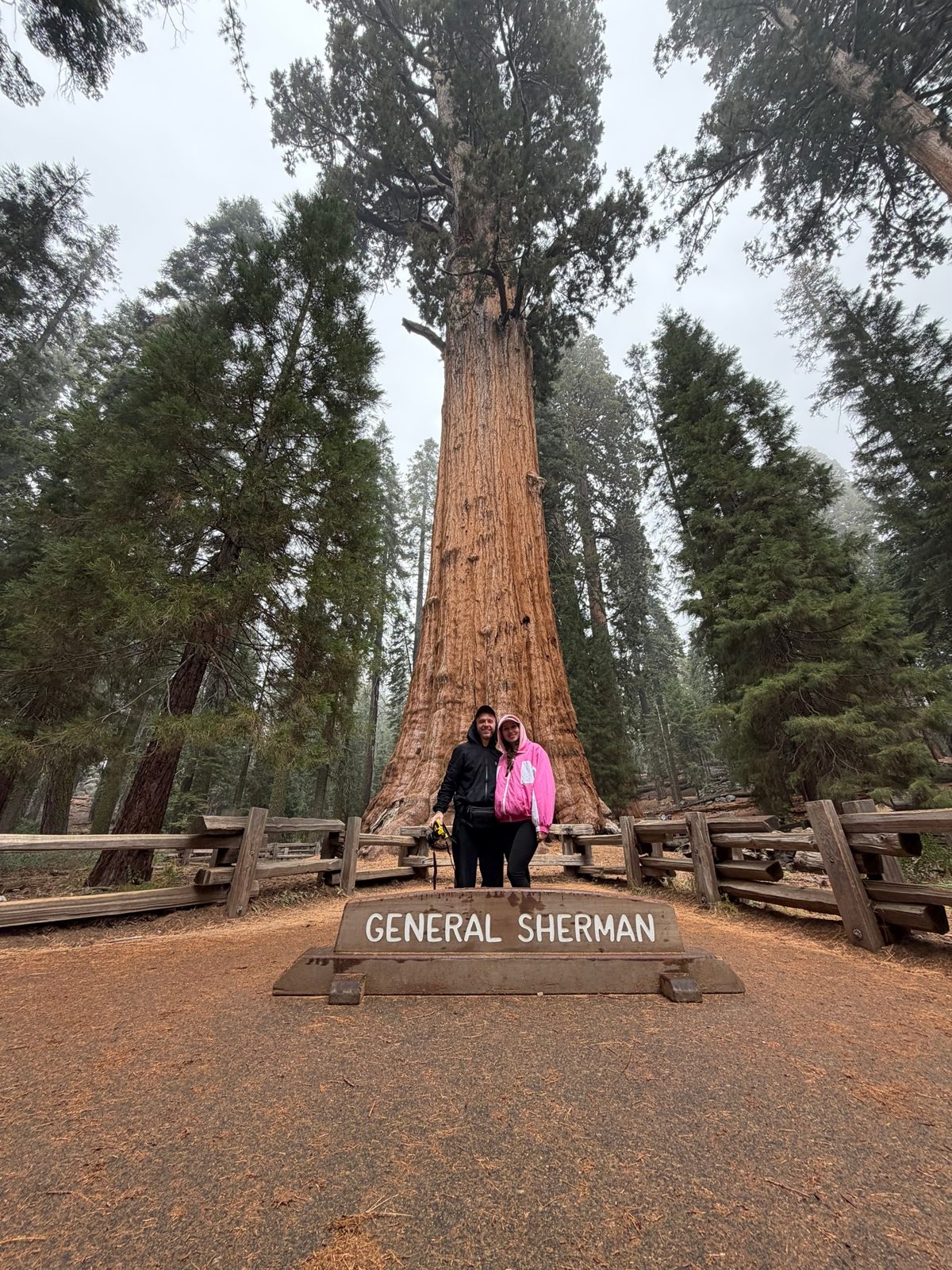 📍 Sequoia National Park Фото совсем-совсем не передает масштаб. Возможно, фото с фотика (позднее, как доберемс…