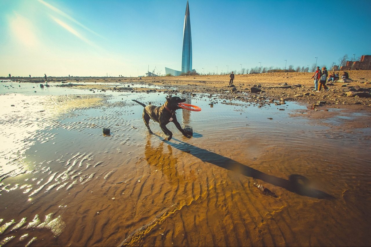 Илья Тарасов — фотография архивной публикации 20.11.2023